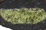 Sliced Olivine Crystal Filled Volcanic Bomb - Spain #301763-3